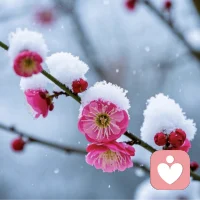 賺錢，是成年人最大的體面 

把錢當一回事，才是成年人最大的清醒。不要覺得談錢很俗，不要端著架子亂矯情，不要等到吃過苦、跪過人、生過病，才懂錢能養人、能舒心、能救命。不要又懶又要面子，任何工作都不丟人，只要你有。

通往詩和遠方的路上，要情懷，更要盤纏，往返的車費，舒適的酒店，現實里，漸漸老去的父母，伸手要錢的孩子，享受和體面，都是需要有物質支撐的。永遠不要嫌，賺錢奔波勞累，努力賺錢，才是生活最熱氣騰騰的樣子。

人，要清醒談愛，大膽談錢。賺錢的時候，該低頭低頭，該受累受累，賺了錢，再去談體面。趁年輕，不要談太多情情愛愛，成了年，也不要操太多無用的心。讀書使人不惑，賺錢使人不屈，讀書、賺錢、愛自己，才是人生最重要的事。配圖