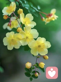 就算不是朝著前方，只要還在邁步，只要沒有止步不前就可以。當然，時不時止步不前一下也沒關系。配圖