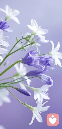 人到中年，警惕“癌癥性格” 

天天生悶氣，真的會致癌。人到中年，一定要警惕“癌癥性格”，不要太善良，不要把好情緒都留給別人，把所有壞情緒，像埋雷一樣，一個個埋在自己身體里。情緒，總要有出口，要么身體，要么精神，請允許自己間歇性發瘋。

人活著，肆意一點，沒必要長時間情緒穩定。情緒，從不是洪水猛獸，壓抑情緒才是。總要找一個地方，把痛苦都哭出來，總有找一個空間，盡情折騰，把委屈都倒出來。全身黑能量太多，極致的發泄，就是極致的治愈。

不要等到進了醫院才懂，這一生被辜負最狠的是自己。不要讓自己太懂事，不要對自己期望太高，不要什么事都壓在心里。流眼淚，是倒苦水，大吼大叫，是釋放黑氣，永遠記住，跟小命相比，體面，不過是枷鎖，毫無用處。人這一生，心無掛礙，才能健康自在。配圖