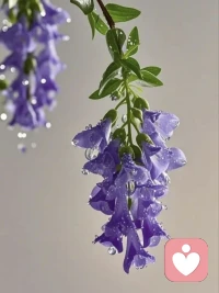 當你覺得撐不下去時，就去看看星辰大海吧 

不知道你們有沒有，在出去旅游見識山川大海時，或在夜晚仰望宇宙星空時，會有一種”豁然“的感覺，會覺得日常的煩惱突然變得很渺小。

這種感覺就像是從“螞蟻視角”轉換到“上帝視角”。

我們的日常生活，就像螞蟻一樣，專注于眼前的得失，忙著趕路搬運，一次失誤、一句批評、一段關系的摩擦、一個未達成的目標等等，這些眼前事占據了我們的全部視野，困住情緒，讓我們誤以為這就是人生的全部。

而當我們走進大自然，抑或凝望星空的那一刻，我們的視野瞬間被拉高到“上帝視角”。

從這個高度來看，地球只不過是宇宙中的一粒塵埃，人類文明對于地球46億年的歷史，也不過一瞬。

這種時空尺度上的巨大反差，會讓我們會覺得，那些讓自己焦慮的工作、情感等煩惱，實在微不足道。配圖