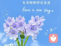 有一種頓悟，是悄無聲息地不再參與配圖