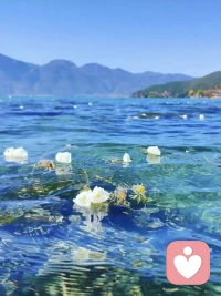 人越靜，福越深

周國平說：“人生最好的境界是豐富的安靜。”誠然，只要內心是平靜的，豐盈的，無論外界多么喧囂，也能從容笑對。不要總是風風火火趕路，急急切切做事，人這一生，真正的幸福，不在速度，而在那份懂得靜下來的智慧。

靜，不是消極的沉寂，不是懶惰，亦不是無所作為，而是一種摒棄浮躁的從容和沉淀。心靜，才能不亂，遇事不要急著去處理，一著急，很容易忙中出錯。越是急事，越要靜而不亂，越是大事，越要沉得住氣。

人，要懂得養生之靜，每天內心平靜無雜念的吃飯睡覺，身體自然安康。退出人群，遠離喧鬧，回歸寧靜，也是善待自己。靜能修身，亦能養心，心靜之時，福自來。在這快節奏的生活里，讓自己靜下來，讓福氣滿滿生長吧。配圖