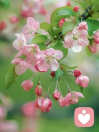 如果你對自己是比較接納的、放松的，哪怕自己今天頭也沒梳好、扣子也扣歪了，然后去見了一位很重要的紳士，紳士很有禮貌什么也沒說，之后你自己發現了，你能笑笑就過去了，回家還是能夠睡好覺。如果你擁有這樣的心態，那么，你對孩子就不會有那么多的壓力，或者你的意識和思想就不會制造出這么多的要求和問題。配圖