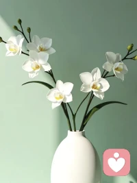 人最大的心魔是“應該”

一個人之所以總是生氣、委屈、崩潰，都是因為預先給人或事設定了一個“應該”的標準，父母應該理解我，愛人應該順從我，同事應該幫助我，孩子應該學習好，生活應該幸福。應該，其實是以自我為中心的主觀期待，而這個期待，很多時候脫離了現實，并且是帶有控制欲的。

“應該”的生活，是有秩序的，可預期的，可掌控的，但這樣的想法是違背事實的，人是形形色色的，生活是千變萬化的。世界從來不會按照誰設定的“應該”來運轉，別人也不會按照你心中的“應該”去做事。

人們心中的愛情是琴棋書畫詩酒花，可婚姻的本質是柴米油鹽醬醋茶。浪漫只是偶爾驚喜，一地雞毛才是生活常態。放下心中執念，少一些應該，多一些允許，情緒才能穩定，關系才能和諧，人生才能自由，生活才能幸福。配圖