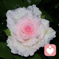 那些能站到頂層的人，從來不是因為他們替別人考慮得多，而是因為他們只專注提升自己這一件事配圖