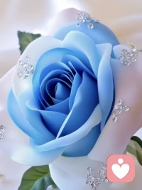 焦慮的原因就只有一個(gè)… 

想同時(shí)做很多事，又想立即看到效果。

自己的欲望大于能力，又極度缺乏耐心。欲望與能力之間差距過大，然后你焦慮了。

所以解決焦慮的兩個(gè)方法：提升能力和降低欲望。

提升能力對(duì)應(yīng)著你去培養(yǎng)你的技能，而降低欲望意味著你要培養(yǎng)你的耐心。配圖