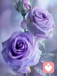 一個人生建議：不要把伴侶看得太重

任何一段關系，當你過度關注他人，自身氣運就會消弱。夫妻之間，不要總盯著對方的一舉一動，不要因為對方一個眼色，一句不稱心的話，就無限內耗自己。人，要活在自己的快樂里，而非他人的臉色中。

不要妄圖改變對方，也不要太過卑微求愛，又苦，又累，還沒必要。至親至疏夫妻，要親密無間，也要合作有距。夫妻一場，放平心態，合作就行，該配合配合，該裝聾作啞，裝聾作啞。你越不較真，就越舒坦自在。

人，越在乎什么，就越失去什么。不要把伴侶看得太重，不要把自己看得太低，不要把自己的婚姻變成依附、取悅、求認可。人到最后，拼的都是自己，要健康，要快樂，要把伴侶只當伴侶，而非全世界。配圖