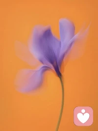 反省自己，是一個人變好的開始

容易生氣的人，不是因為他脾氣有多差，而是他只盯著別人的缺陷不放，不懂得反思自己是否也有錯。一遇到挫折或不如意的事情，就一味地抱怨命運、責(zé)怪別人，這種不懂得反思的人，就是籠中困獸，困獸是自己，牢籠亦是自己。

人這一生，難免會犯錯走彎路，錯不可怕，可怕的是錯后不知從自己身上找原因，反而責(zé)怨別人，推卸責(zé)任。不懂得自省，整天抱怨的人，只會讓自己固步自封，繼續(xù)沉淪，終至無藥可救。真正能讓人成長的，不是經(jīng)歷，而是反思。

抱怨者自囚，自省者自強。越是成熟、強大的人，遇事越會向內(nèi)求解，把每一次犯錯，當(dāng)成提升自己的機會。不責(zé)旁人，反省自己，是一個人變好的開始，發(fā)現(xiàn)自身不足，才能突破自己局限，獲得自我升華。配圖