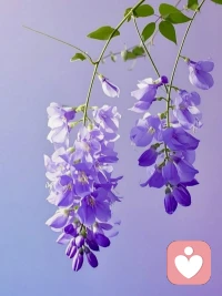 不反驳，提条件