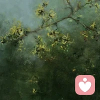 为什么人性中的恶意，总是防不胜防？

你要知道，一个人面对别人时，常常带着试探。

心理学里有个概念，叫“服从性测试”。

什么意思？就是有些人会故意对你说些冒犯或挖苦的话，观察你会不会生气、会不会反击。

如果你忍了，他心里会下结论：你是个“好拿捏的人”，以后他会更加肆无忌惮；

如果你怼了，他会觉得你不好惹，下次就会收敛。

很多人不懂这一点，以为别人只是“随口一说”“开个玩笑”。可你要记住：人性里没有那么多无心之言，恶意永远是带着目的的。

就像你在职场里，领导说：“哟，你又迟到了呀？”

其实这句话，不是提醒，而是暗暗敲打；

同事说：“你真是傻乎乎的，什么都敢干。”

听上去像玩笑，但本质是在打击你的判断力。

所以你要清楚：恶意永远存在，它是人性博弈的一部分。

关键在于，你要不要任由别人拿你练手。配图