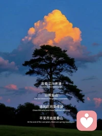 自己這棵樹，我允許它肆意生長配圖