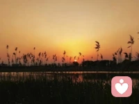 不要太乖，不想做的事可以拒绝，做不到的事，不用勉强，不喜欢的话假装没有听见。你的人生不是用来讨好别人，而是善待自己。配图