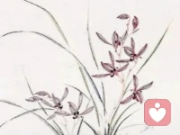 人生建议：不帮穷，不帮懒

“帮急不帮穷，帮困不帮懒”。当下社会，只要人不是特别懒，保障基本生活还是没有问题的。一个健全的人，长期处于贫困状态，不是懒惰，就是有不良嗜好。不帮穷，不帮懒，是因为无底洞填不满，装睡的人摇不醒，跪着的人扶不起。

无原则、无限度地“帮穷”、 “帮懒”，往往会催生出最可悲的结局。你越帮，越无私，越善良，对方越懒，越贪心，越穷。你不是在帮他，而是在滋养依赖，扼杀自强，让他在“懒”和“穷”上，又多了一个“贪”。

我们要拥有一颗悲悯的心，同时也要配上一双识人的眼。不慎落水、亟待救援的奋斗者，要拉一把；安于淤泥、等待施舍的沉沦者，要远离。把善意留给那些正在挣扎上岸的人，才是真正的大善、大智慧。配图
