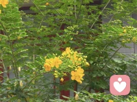 述情障碍：为什么有的人遇到一点小事都会发火，因为情绪堆积在心里，迟早会炸；明明内心翻涌着情绪，却不想甚至无法表达

述情障碍主要有四个核心特征：

❶情绪识别困难：“我难受，但不知道是哪种难受”

述情障碍者很难准确区分自己的情绪类型。比如，工作失误后，他们可能只觉得 “心里堵得慌”，却分不清这是 “焦虑”（担心被批评）、“愧疚”（觉得自己没做好）还是 “委屈”（觉得自己尽力了）。

❷情绪表达困难：“想说，却不知道怎么说”

即使能隐约感受到情绪，述情障碍者也很难用语言或行为表达出来。比如，看到家人为自己付出，明明心里很感动，却只会说 “哦，知道了”；伴侣难过时，想安慰却不知道说什么，只能默默坐在旁边，反而被误解为 “不在乎”。

❸缺乏幻想与共情：“很难代入别人的感受”

述情障碍者往往不太擅长 “换位思考”。比如，朋友向他们吐槽 “被老板骂了，好委屈”，他们第一反应可能是 “那你下次做好点不就行了”，而不是感受到朋友的情绪。

❹关注身体感受，忽视情绪信号

当情绪来临时，述情障碍者更容易感受到 “身体反应”，而非情绪本身。比如，焦虑时，他们不会觉得 “我在焦虑”，而是会说 “我最近总头疼、失眠、胃不舒服”；压力大时，也只会抱怨 “浑身没力气”，却没意识到这是情绪在 “求救”。

这种 “用身体感受代替情绪感受” 的模式，很容易让他们忽视情绪问题，直到身体出现更严重的不适，才意识到问题的存在。配图