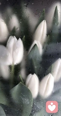 拿把破傘，不如淋雨配圖