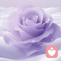 只要不关注任何人的动态 不揣测别人的想法 不想一些没发生的事情 不明不白稀里糊涂的生活就很爽。