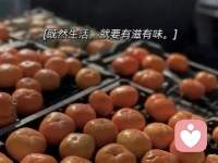 “能折磨我的永远都是我过于在意的东西，我若不在意了，天奈我何。”可有，可无，可丢，可留，取舍之间，便是人生。配图