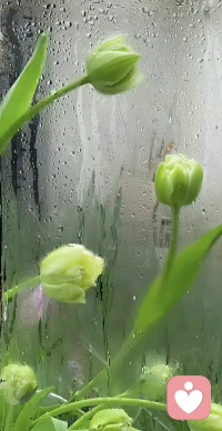 發脾氣的父母，最無能

養娃和種莊稼一樣，急不得，怨不得，莊稼長不好，農民從來都是先從自己身上找原因，而不是罵莊稼不努力。孩子的人生路才剛剛開始，字寫不好，題算不對，太正常不過了，因為這點小事經常情緒失控，對最疼愛的人又打又罵，何必呢？

要知道，長期被吼罵的孩子，記憶力、專注力和反應速度，都會有明顯下降，直接影響孩子的智商。當感覺自己情緒要失控時，要及時按下“暫停鍵”，讓自己抽離出來，去外面走走，深呼吸幾口氣，默念幾遍：我是在幫孩子解決問題，而不是在發泄情緒。

只會發脾氣的父母，最無能，他們不懂教育，又懶得學習，還自以為是，所以才只會用最簡單粗暴的方式打壓孩子。父母情緒穩定，孩子眼里有光，臉上有笑。為人父母，要先放下手機，拿起書本，控制好自己的情緒，給孩子做個好榜樣，再去教育孩子。配圖