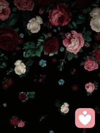 難過時(shí)，我們常常想回頭看看過去的美好，卻忘了身后的路已經(jīng)無法改變。真正的智慧，是帶著傷痛繼續(xù)前行，讓時(shí)間一點(diǎn)點(diǎn)治愈傷口…配圖