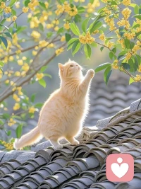 沒關(guān)系的，大家都會做錯選擇，會莫名其妙的掉眼淚，走在路上會突然崩潰，但這并不妨礙我們?nèi)タ赐硐迹荡碉L(fēng)，再次愛上這個世界。配圖