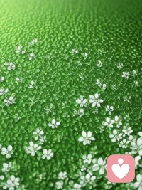 如果別人對(duì)你很滿意，那就說明你一直在吃虧；
能讓別人對(duì)你不滿，那才說明你一直在做自己；
別人對(duì)你的評(píng)價(jià)越高，就說明你付出的越多；
你感受到的每一個(gè)表揚(yáng)都是通過自己的。配圖