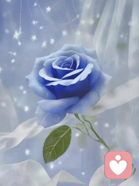 你的感受和直覺，是必要的，是重要的。配圖