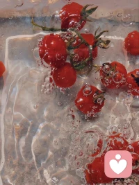 太軟弱的人，會見識到很多的惡配圖