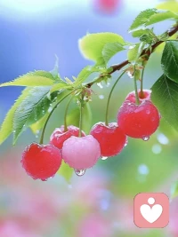 一個(gè)人，也挺好

有個(gè)愛(ài)你、懂你的人陪伴，是件很幸福的事，要好好珍惜。如果沒(méi)有，不要傷心，更不要因?yàn)榕鹿聠危⒕鸵欢侮P(guān)系，低質(zhì)量的社交，遠(yuǎn)不如高質(zhì)量的獨(dú)處。沒(méi)有誰(shuí)會(huì)永遠(yuǎn)陪著你，來(lái)者珍惜，去者隨緣，不執(zhí)著，不糾纏，方能灑脫自在。

獨(dú)處，或許有些孤單，但這也是一種美好的體驗(yàn)。一個(gè)人，最輕松自在，不必偽裝，不必委屈，不必遷就，不必為了誰(shuí)忙碌，可以完全靜下心來(lái)，做自己的事，過(guò)自己想要的生活。要學(xué)會(huì)在無(wú)人問(wèn)津的日子里，默默努力，靜靜沉淀，不負(fù)時(shí)光，不負(fù)自己。

一個(gè)人，一杯茶，一本書(shū)，一支筆，不多不少，剛剛好。成年人的世界，單槍匹馬才是常態(tài)，做自己的夢(mèng)，走自己的路，唱自己的歌，一個(gè)人，也可以把平淡的日子過(guò)得豐盈。讓生活回歸它最純粹的美好，是很幸福的事。配圖