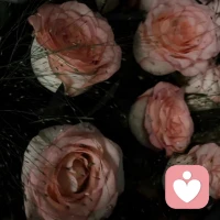 成年人的世界不講對錯，只講強弱。愛情從來不是雪中送炭，而是錦上添花。配圖