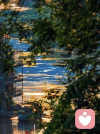 我的內在平靜而堅定
每一次呼吸都在為我注入新的能量
我接納當下的所有感受
我信任自己的智慧和能力
我有足夠的勇氣去面對
也有足夠的耐心去體驗
我深深地扎根于此刻
并選擇用愛與善意回應世界配圖