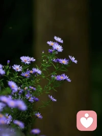 内耗的根源是不允许自己做自己配图