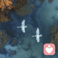 你不是没有成长，而是在扎根配图