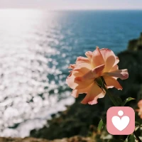 你且向前，笔耕不辍配图