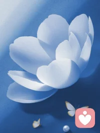 续上：什么才是人生最好的状态：❸刻进生命里的坚强

面对任何打击，都别一蹶不振。给自己一段疗伤的时光，默默振作起来。

工作失意，别沉溺痛苦、别悲观颓废，重新站起来，和生活握手言和。爱情不顺，也不要害怕说再见。

你应当是骄傲的，值得被爱的。坚强起来，勇敢一点，和旧事旧物体面告别，以更好的姿态迎接新的人生。

可以适当发泄情绪，但千万别深夜买醉，更别糟蹋自己的身体。为了不值得的人和事折磨自己，是最愚蠢的事。

什么时候开始新生活都不晚。请相信前方有更好的风景和更好的人在等着你。配图