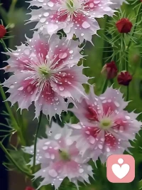 好的关系，都有极强的推背感

如果你身边围着几个爱抱怨、心胸狭隘、事事较真的人，过不了多久，你也会变成消极沉闷。人与人之间是相互影响的，你靠近什么样的人，就会有什么样的生活。多交正向朋友，补充正能量，人生才能越来越好。

想要幸福，就要远离抱怨，杜绝消极，多和正能量的人相处。他们热爱生活、人品端正、勇于担当，就像光芒四射的太阳，用自身的正能量来温暖你的心田、照亮你的世界，源源不断地给你力量，为你的人生增光添色。

好的关系，都有极强的推背感，推向更好的自己，更幸福的生活。他们会在你失落时，哄你开心；在你疲惫时，为你持续赋能；在你迷茫时，为你指点迷津。多靠近正能量，你的生命力才能被激活，你的人生运势才能彻底改变。配图