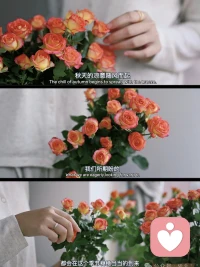 人这一辈子，一定要好好照顾自己，除了健康，什么都不是你的。

那些幸福的人，总能看到自己拥有的东西；
而不快乐的人，却总是羡慕别人拥有的东西。配图