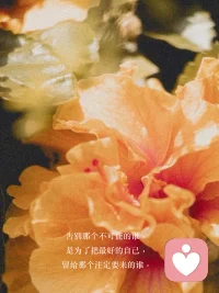 你害怕的不是做不好，而是被评价配图