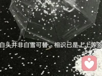 愿你放下执着，放下不甘心，从今以后，只负责精彩自己的人生。往事不回头，未来不将就，你若盛开，清风自来配图