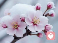 承认自己没那么“有用”，才不会被人随意利用！配图