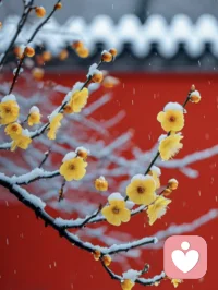 人有时候真是奇怪，选择了会后悔，放弃了的会遗憾，但完美只能是一种理想，而不可能是一种存在。配图