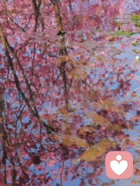 生命是一團欲望，欲望不滿足便痛苦，滿足便無聊。人生就在痛苦和無聊之間搖擺。配圖