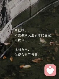 別找答案，去找自己。配圖