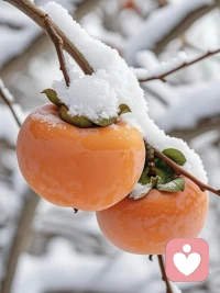 .我在前進，很慢，但從不回頭。配圖