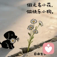 永遠相信美好的事即將發生配圖