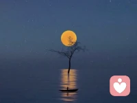 知道自己还有所不知道的，这才算是高明有见识，不知道却自以为知道，这才是糟糕的。
且去看，一个整天聒噪且喋喋不休的人，大多都认为自己无所不知，且巴不得所有人都听他说话。
而一个看似沉默寡言的人，眼神却深邃，看破不说破。
给他人以余地，也给自己以空间。配图