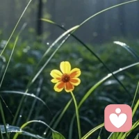 ❸灵性信仰，不说。

浅层理解：
不和别人争论任何灵性层面话题，包括宗教和信仰。

心理动因：
分享自己理解的半生不熟的宇宙观或灵性体验，以此表达自我的深度与不同，也为自己的存在寻找一个锚点，并渴望获得共鸣。

潜在风险：
任何的价值观、灵性层面以及对于它们的理解，核心是指引自己，而非教化他人，公开辩论只会激发自己的防御机制，阻碍了真正智慧的发展，无一例外。

高阶策略：
懂得【精神即私域】：将你的精神之旅视为一次私人的朝圣，你可以在任何个人途经下进行自我提升和修炼，但应该绝对避免成为谈资。
一旦将它们作为你的谈资，那你就是在给自己贴标签，而非真笃定。配图