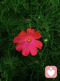 ❹自己有的，不说。

浅层理解：
有不外露，财不外露，德不外露。

心理动因：
展示自己有的一切，包括蓝图和构想，是为了获取社交货币和仰视，想要提升自己在人际关系中的生态位。

潜在风险：
你最核心的生存模式，包括物质和精神层面，会被他人分析和模仿，甚至过度解读，成为攻击的靶点，成为消耗你精力的因素之一。

高阶策略：
领悟【展现策略】：任何所拥有的一切，都不应该先说，而是通过你的生活方式和个人姿态，被他人所认知出来的，这是一种最保险的间接体现。
哪怕是成功模板，也是他人看到你成功后去揣摩和总结，你只需要说它是运气。配图