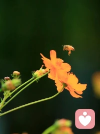 人一定要改掉的毛病：对谁都掏心掏肺

若不想成为旁人茶余饭后的谈资，就别对谁都掏心掏肺。很多时候，少说也不行，流言蜚语，大都是从一句话开始的，你的片语只言，会引来别人的捕风捉影，你没说的那部分，他们会给你脑补上，然后肆意地传来传去。

窥探欲，是人性，捕风捉影，妄加揣度，也是。当你对一个人透露秘密时，就要做好所有人都知道的准备，当你泄露一部分秘密时，就要做好被人全部挖出的准备。记住，想要守住的秘密，就要做到守口如瓶，半字不提。

要知道，掏心掏肺的关系，也会慢慢冷掉，你把隐私全盘托出，实际上就是在给自己埋雷。不要什么话都往外说，摔倒了，也不要总抱怨，为什么受伤的人总是我，拍拍身上的灰尘，该吃饭吃饭，该睡觉睡觉，长个记性，继续向前走就好。配图