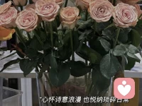 ❻过往伤痛，不说。

浅层理解：
不要总是“祥林嫂”。

心理动因：
反复诉说自己的苦楚，是无意识在重复当时的情感冲击，这是心理学中的强迫性重复，试图通过不断叙述来掌控那段失控的过去。

潜在风险：
你不仅在强化自己的被害者身份，还在训练听到的人把你看作一个浑身负能量的人。这会形成一个负向循环：你越说，他们越这样看你，你就越觉得自己可怜。

高阶策略：
承认【事实的发生】：但拒绝让它成为你当下身份的焦点，合理处理过往，并进行心理封锁，它应该是你的秘档，解密公布应格外慎重。
不公开展览自己的悲苦过往，是走出来的第一步。配图