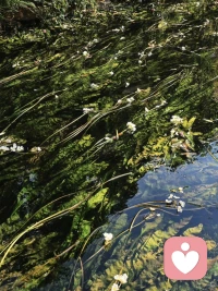 ❽自我之怯，不说。

浅层理解：
不要过度暴露自己的缺点和弱点。

心理动因：
坦诚自己的各种缺点，如懒惰、焦虑或缺乏安全感，很多时候是为不作为预先找好借口，换取他人降低期待值，从而降低对自己的要求。

潜在风险：
这让他人给你贴上不稳定、高风险的标签，在面临关键机会时，人们会选择那个看起来没问题的人，而不是频出事故的你，尤其是在职场中。

高阶策略：
学会【黑盒效应】：你不需要展示你的一切，你只需要输出稳定可靠的结果，把不安全感和焦虑转化为你的检查清单和应对预案。
交际体验应是顺畅的，至于你的后台如何运行，那是你自己的事。配图